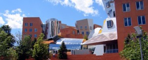 Stata Center at MIT  photo by Solsken  on Fliker OCW  dhp-24-2